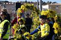 vélo carnavalesque 8